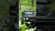 Bush expedition #shorts