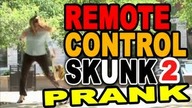 Remote Control Skunk two! by Tom Mabe