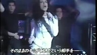 Dead or Alive Turn Around And Count 2 Ten 1988 TV Japan