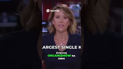 Gigantyczny Koralowiec Z Kosmosu! Odkrycie W Pacyfiku!