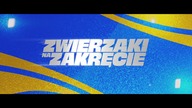 zwierzaki na zakręcie spot tv