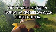 #52 Ponad 20kg karpi w 2,5h.  Pogrom w Krobielowicach