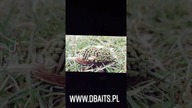 Sklep Wędkarski DBaits :)