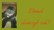 DIMEK SKOŃCZYŁ ROK !!!