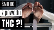 Śmierć z przedawkowania marihuany | WeedWeek vs. Youtube | WONWeedWeek7