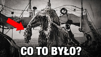 5 razy znaleźliśmy niewyjaśnione stworzenia a potem straciliśmy dowody