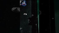 Najwyraźniejsze zdjęcie UFO w historii! #shorts