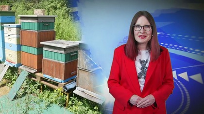 Telewizja Jaworzno

Materiał pochodzi ze strony https://www.jaw.pl
#jaworzno #jawpl