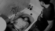41 Klatka B: Heloł Barbara
