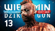 Wiedźmin 3 Next Gen Serca z Kamienia #13  KOSZMAR IRIS! | Gameplay PS5 4K (Edycja Kompletna)