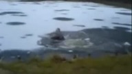 10 największych idiotów świata