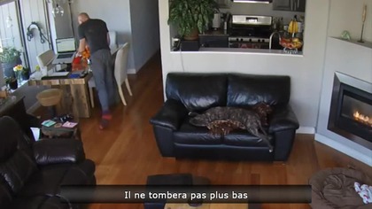 Le Zap de Spi0n n&deg;260