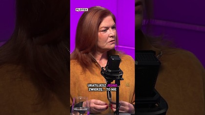 Dowbor odniosła się do słów Dody o wrednym czupiradle #shorts #showbiz #plotek