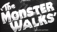 The Monster Walks - Potw&oacute;r nadchodzi 1932 napisy.pl