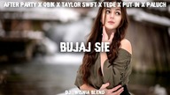 After Party x QBIK x Taylor Swift x TEDE x PUT-IN x Paluch - Bujaj Się (Dj@WiSNIA Blend)