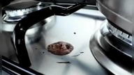 REKLAMY i ZAPOWIEDZI TVP1 2007