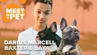 Darius Marcell | MEET MY PET
