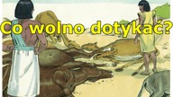 Padliny nieczyste! (Kpł 11, 24-46)
