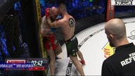 KSW 69