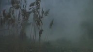 OSOBISTY PAMIĘTNIK GRZESZNIKA PRZEZ NIEGO SAMEGO SPISANY (1986)