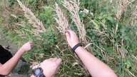 Awaryjna podpałka z kłosów trawy