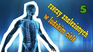 5 rzeczy znalezionych w ludzkim ciele
