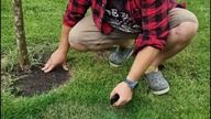 Farba do trawy.  Jak naprawić trawnik w kilka sekund?