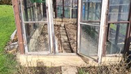 #256 Winter sowing czyli...  zimowy wysiew nasion w mojej wersji!