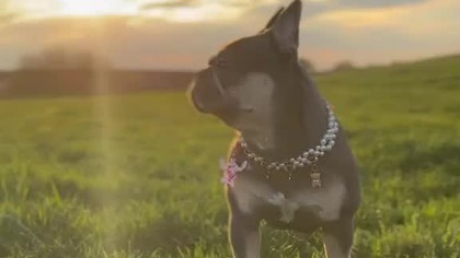 Braki pamięci na telefonie.