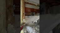 Tak się wjeżdża na robote!  #demolka #carpenter #remont #snekkerrobert