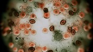 Przejście [s01e05] pl