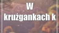 Wystawa szopek u Dominikanów