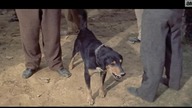 Traper z Kentucky (The Kentuckian, 1955, Lektor PL)
