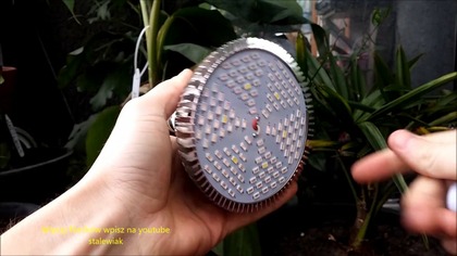 #327-Doświetlanie roślin LED GROW 80W.  Pierwszy zakup na aliexpress
