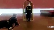 Wpadki żołnierzy warty honorowej