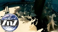 Kosmiczna katapulta zrewolucjonizuje podróże kosmiczne