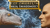 Dlaczego dinozaury nie wykształciły inteligencji zdolnej do stworzenia cywilizacji?
