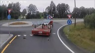 Nietypowa kolizja z tirami