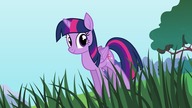 Pony Girl (Napisy PL)