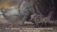 Werehyena compilation (with some far too cute Hyena videos)