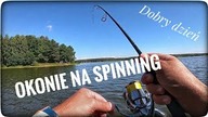 OKONIE na spinning // sierpień 2021