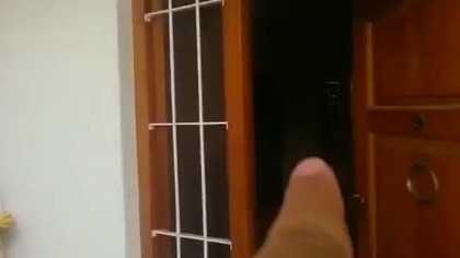 Mistrz Parkowania parkuję jak prawdziwy BOSS ! Niesamowity Garaż !