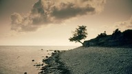 Ingmar Bergman i demony podświadomości