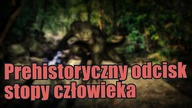 Odcisk ludzkiej stopy znaleziony na skale liczącej ponad 250 milionów lat