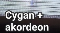 Cygan +akordeon   