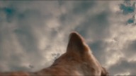 Mufasa: Król Lew (2024) 4K - Dzeszcz, który wszystko zmienił