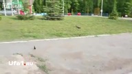 Wiara w ludzkość przywr&oacute;cona