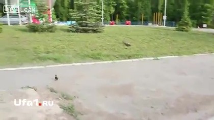 Wiara w ludzkość przywr&oacute;cona