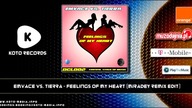 Emvace Vs. Tierra - Feelings of my Heart (Miradey Remix Edit)