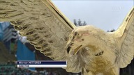 Turniej Czterech Skoczni Innsbruck 04-01-17 1 seria ostatnia